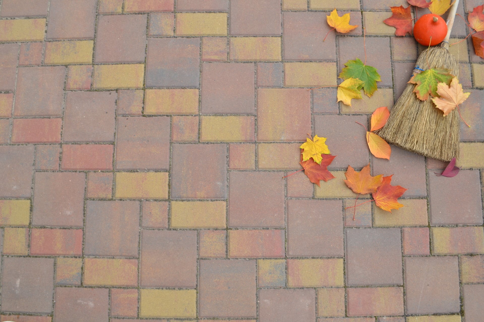 Pflaster Skato 1 Pflaster Skato