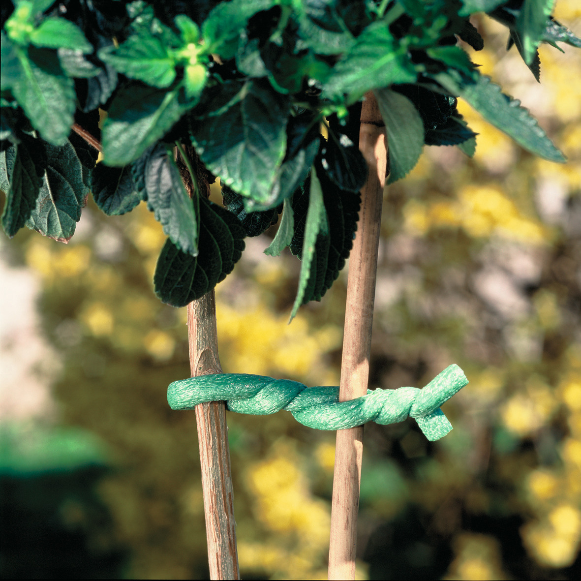 Baumanbinder geschäumt 10m grün 1 Baumanbinder geschäumt 10m grün