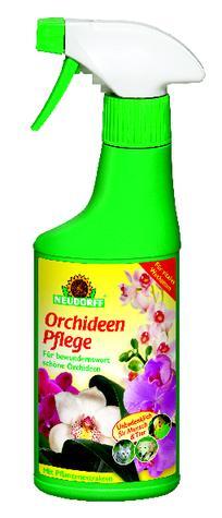 1698152 orchideen pflege