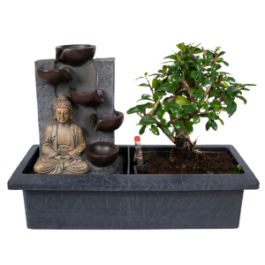 Bonsai-Baum “Meditation” | Bonsai mit Buddha & Wasserfall | +/- 30cm | ø 15cm Topf