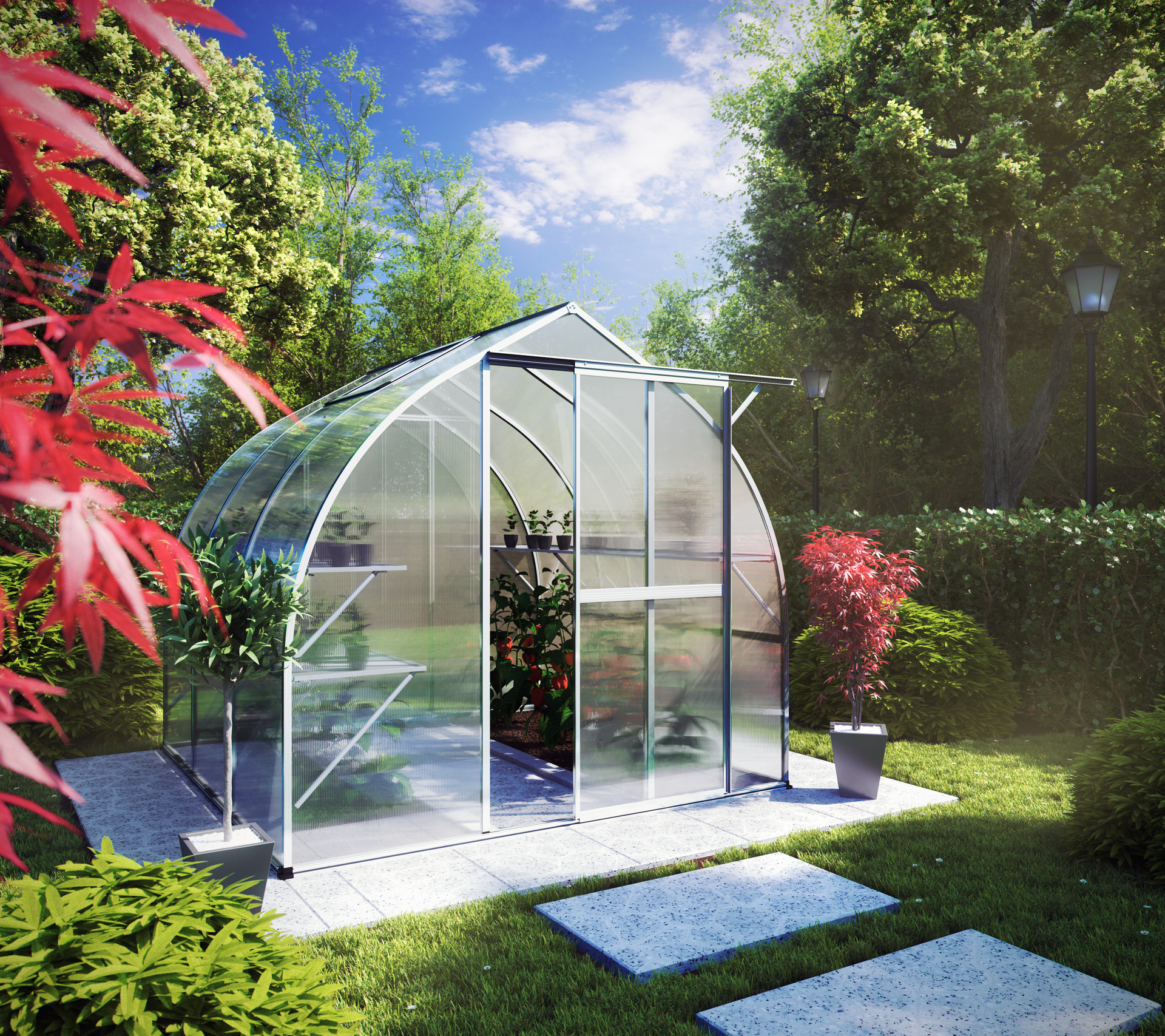 Gewächshaus Rhodo 1 Gewächshaus Rhodo