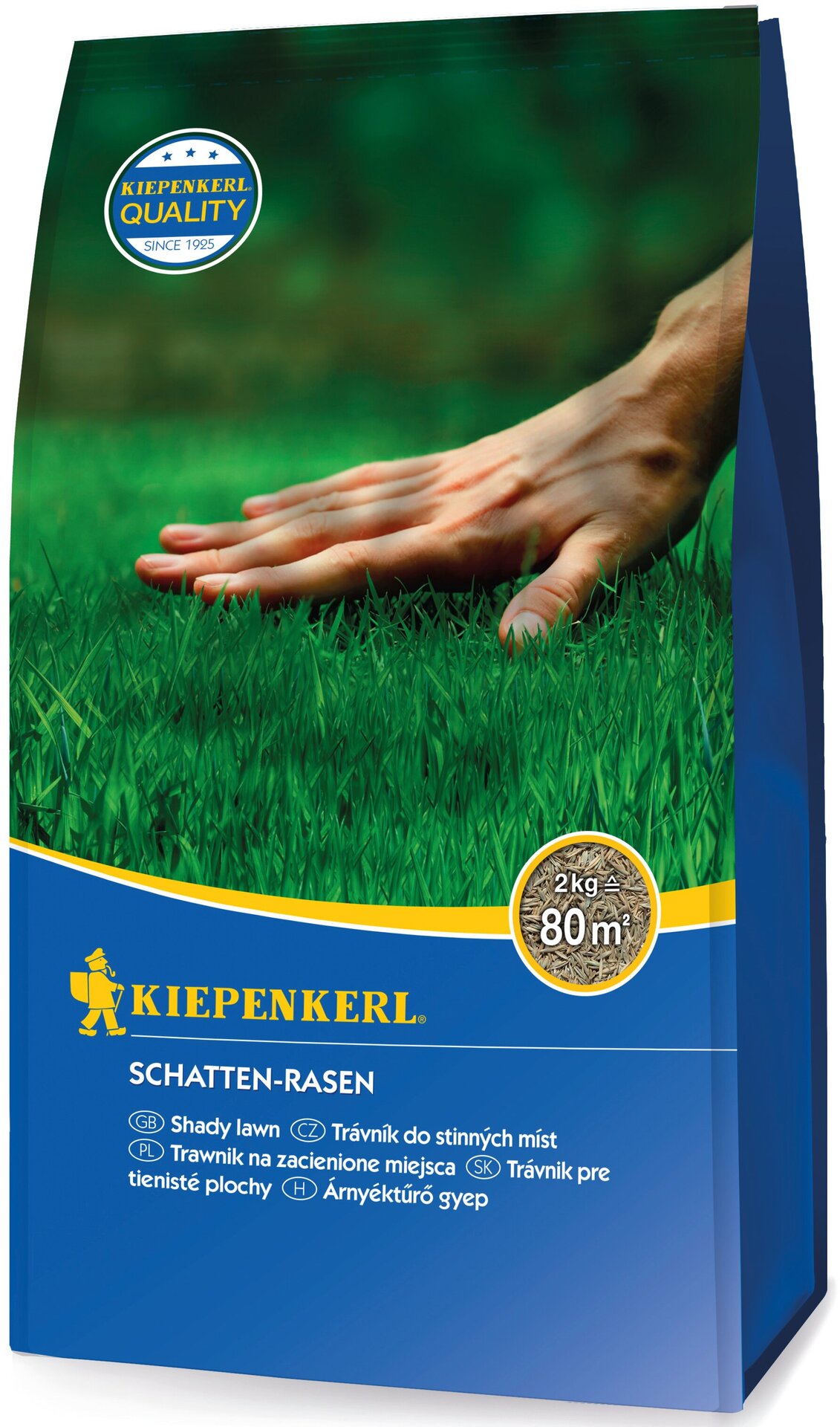 Schatten-Rasensamen 1 Schatten-Rasensamen