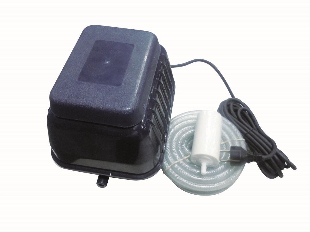 Belüftungspumpe 1 Belüftungspumpe