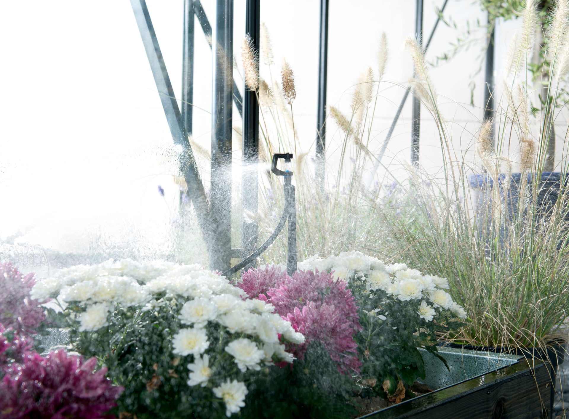 Bewässerungssystem 1 Bewässerungssystem