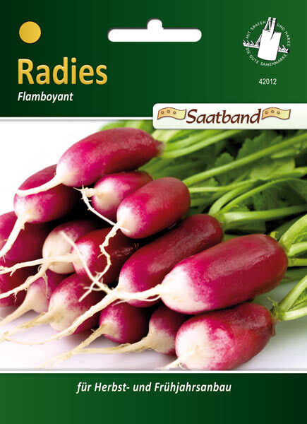 Seitendach für Gerätehaus Europa 1 Seitendach für Gerätehaus Europa