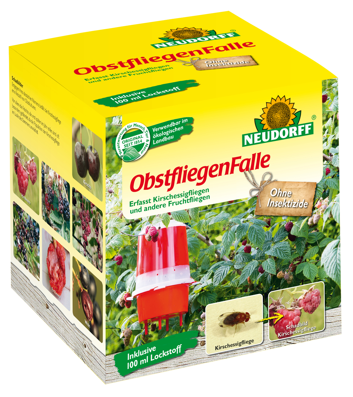 ObstfliegenFalle 1 ObstfliegenFalle