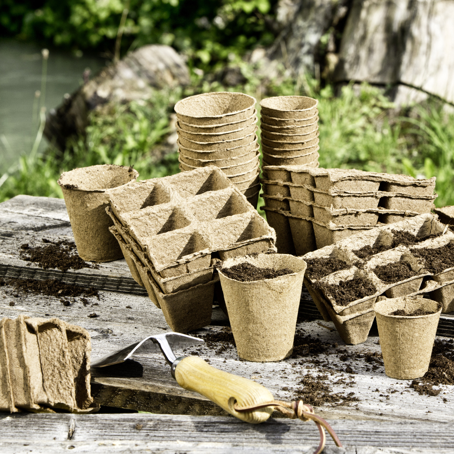 Anzuchttöpfe 1 Anzuchttöpfe