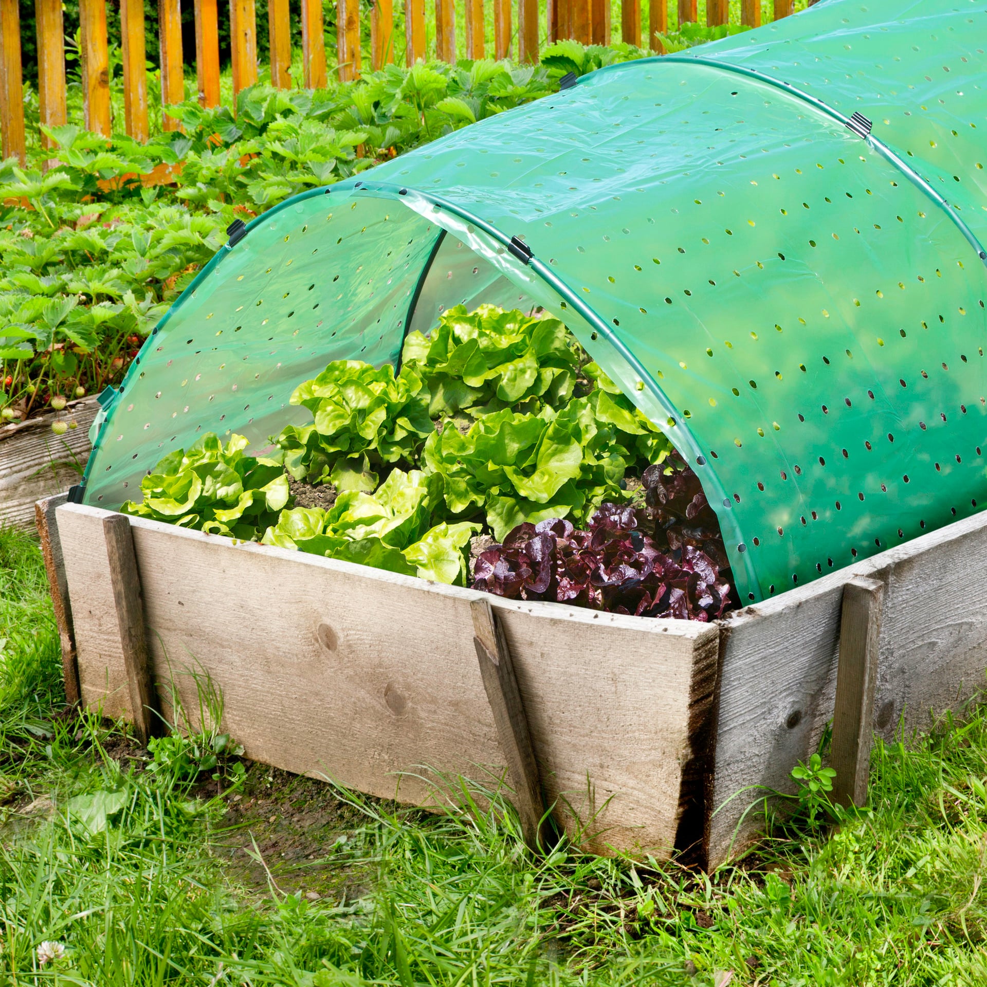 Flexi-Tunnelbogen-Set inkl. Clips 1 Flexi-Tunnelbogen-Set inkl. Clips