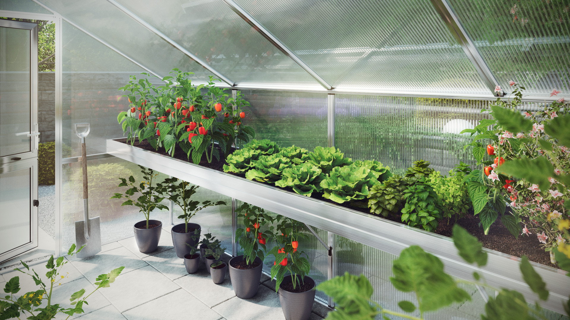 Pflanzwanne für Gewächshaus Rose 1 Pflanzwanne für Gewächshaus Rose