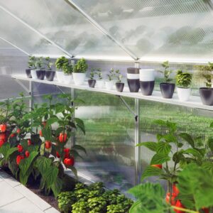 Hängebord für Gewächshaus Tulpe