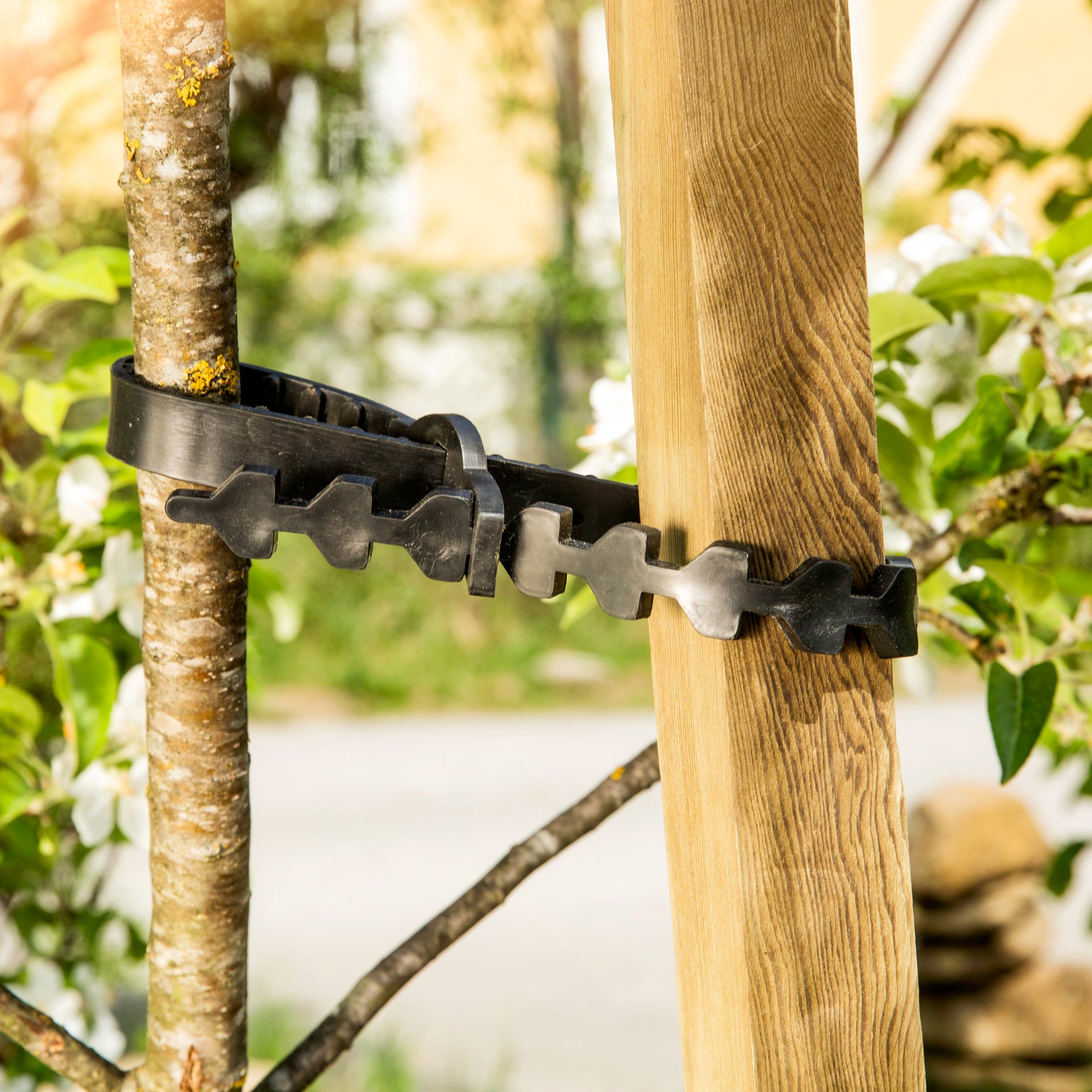 Gummi-Baumanbinder Set 2-tlg. 1 Gummi-Baumanbinder Set 2-tlg.