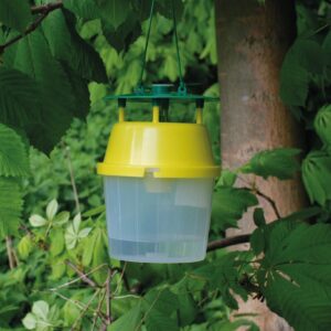 Kastanienminiermottenfalle gelb (inkl. Lockstoff)