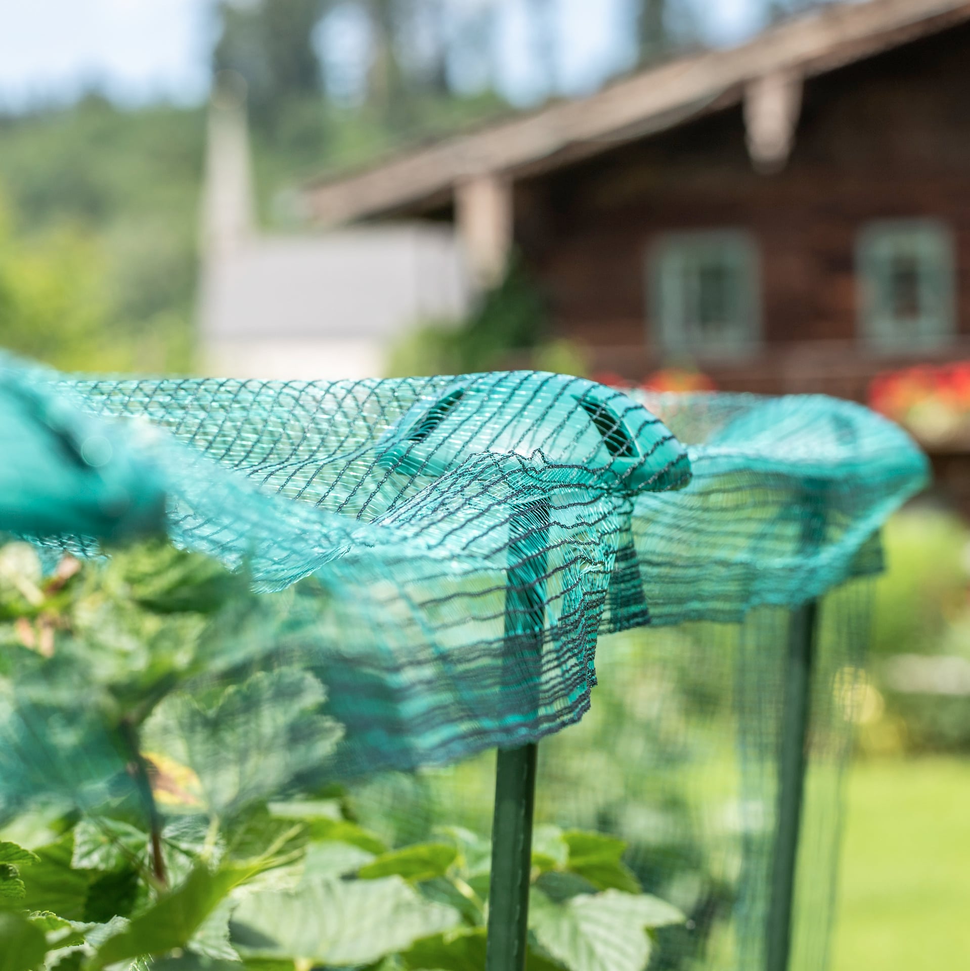 Pflanzstab-Netzhalter 1 Pflanzstab-Netzhalter