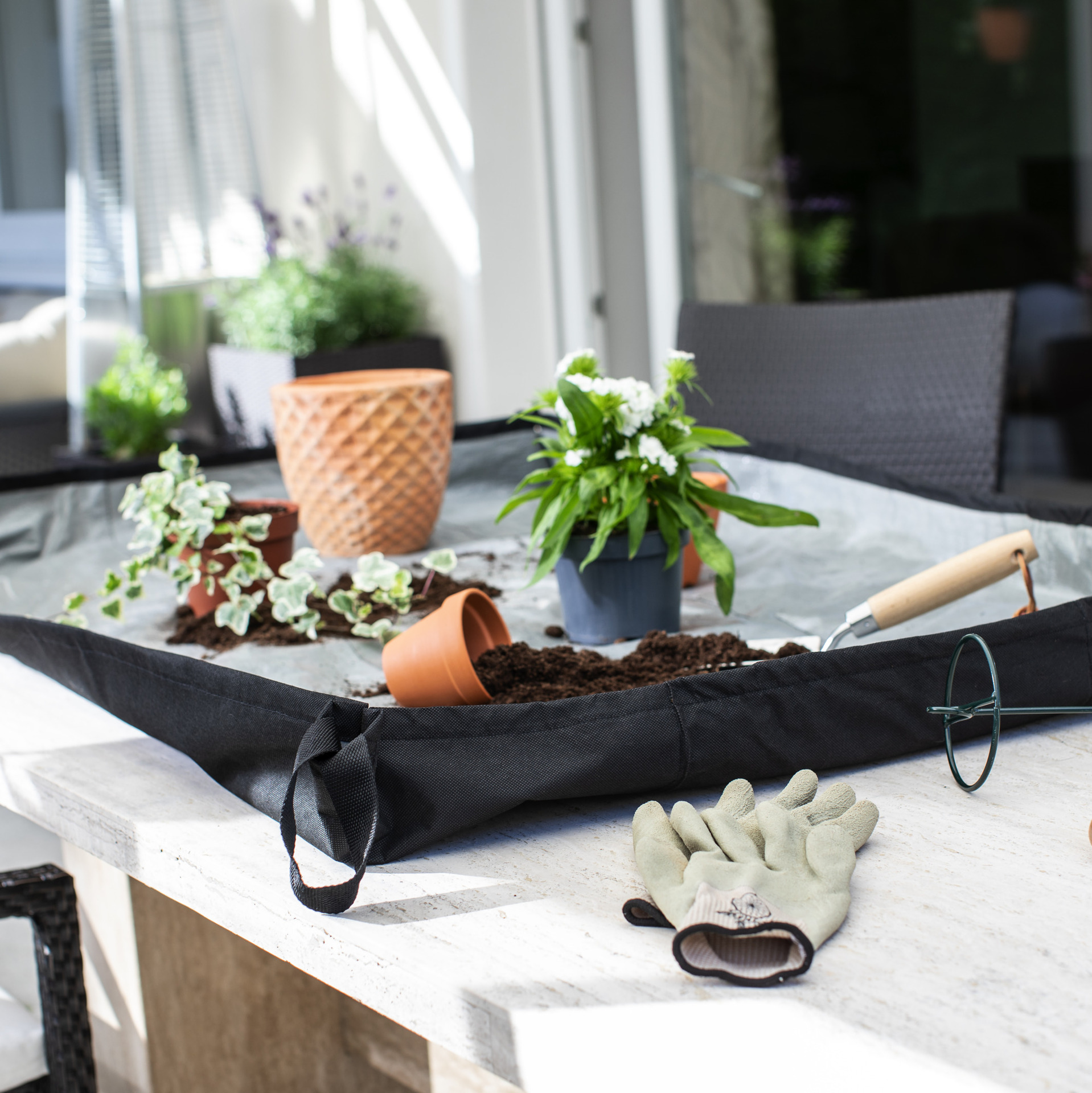 Pflanz-u.Unterlegplane 1 Pflanz-u.Unterlegplane