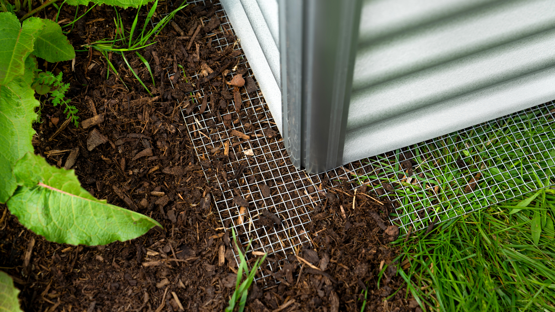 Drahtgeflecht Draneo für Hochbeet 1 Drahtgeflecht Draneo für Hochbeet