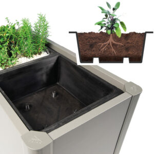 Pflanzeinsatz zu Pflanzbeet Belvedere