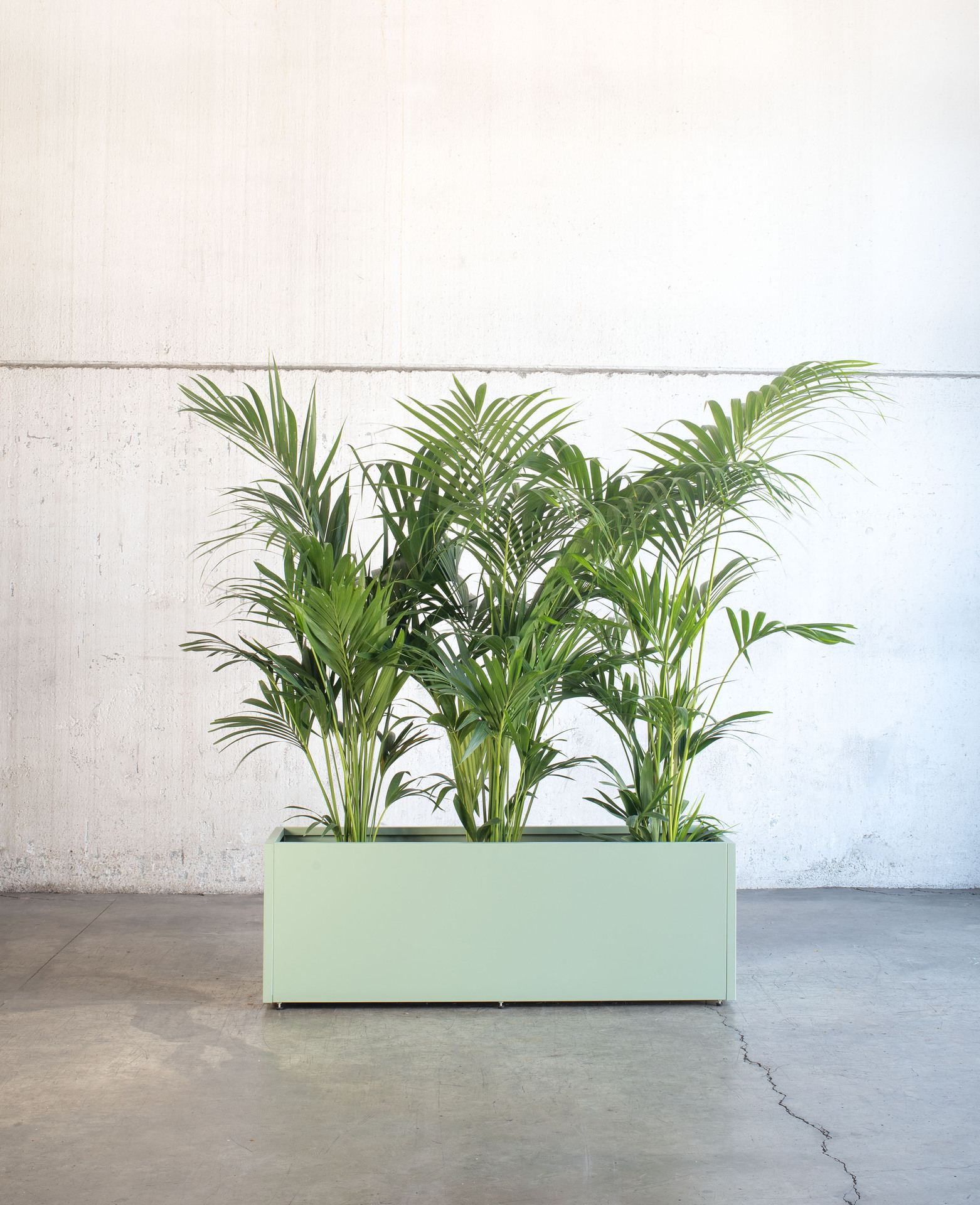 Pflanzkasten 1 Pflanzkasten