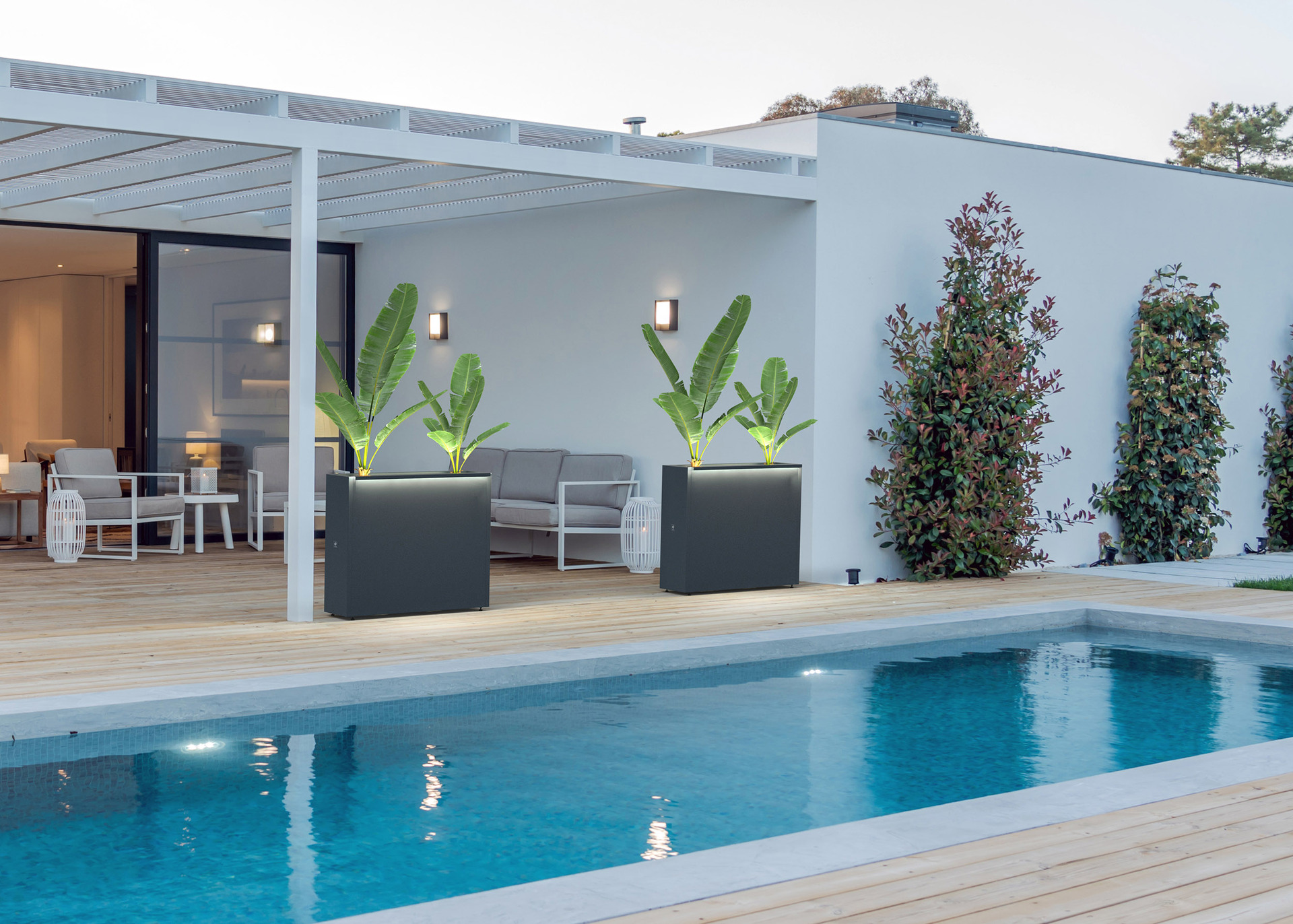 Pflanzkasten 1 Pflanzkasten