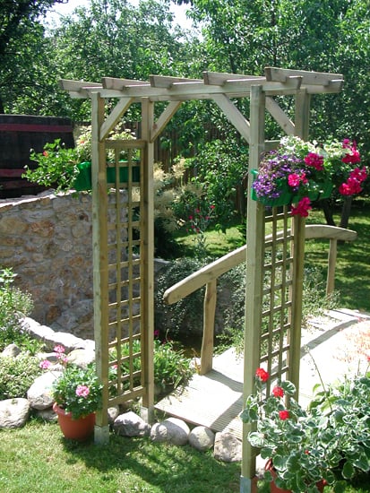 2778468 clematis eingangspergola gerade