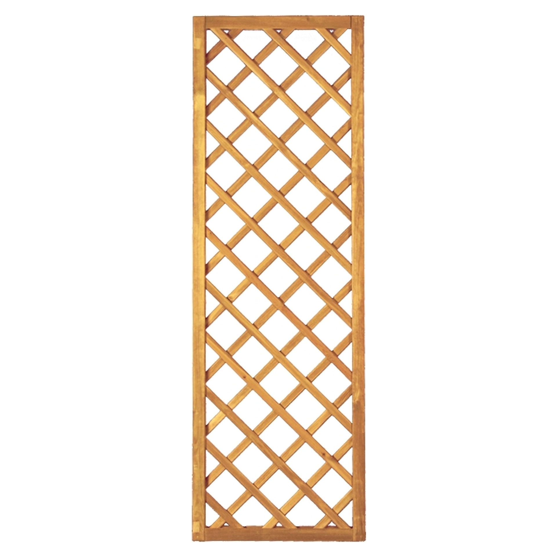 Diagonal-Rankzaun, genagelt 1 Diagonal-Rankzaun, genagelt