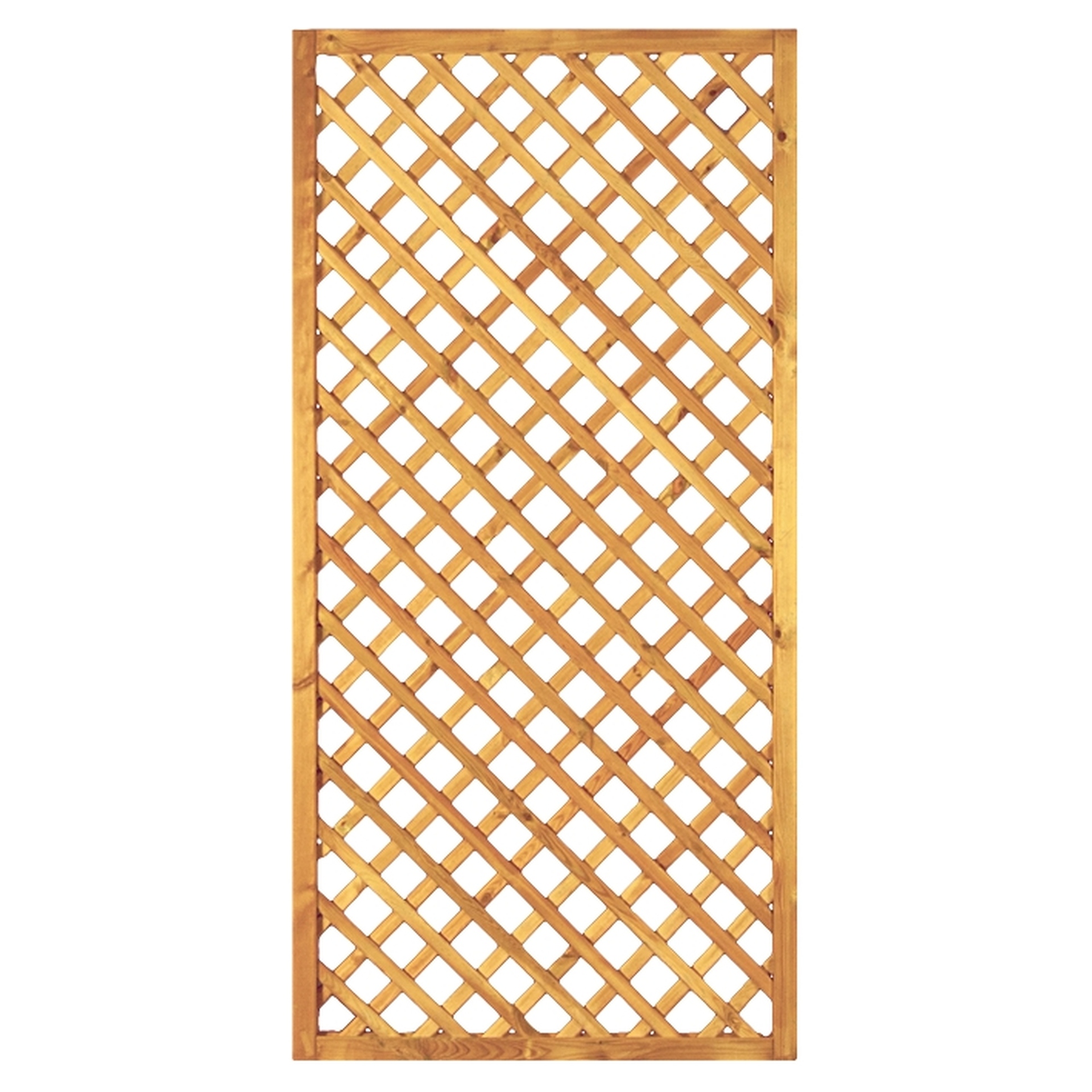 Diagonal-Rankzaun, genagelt 1 Diagonal-Rankzaun, genagelt