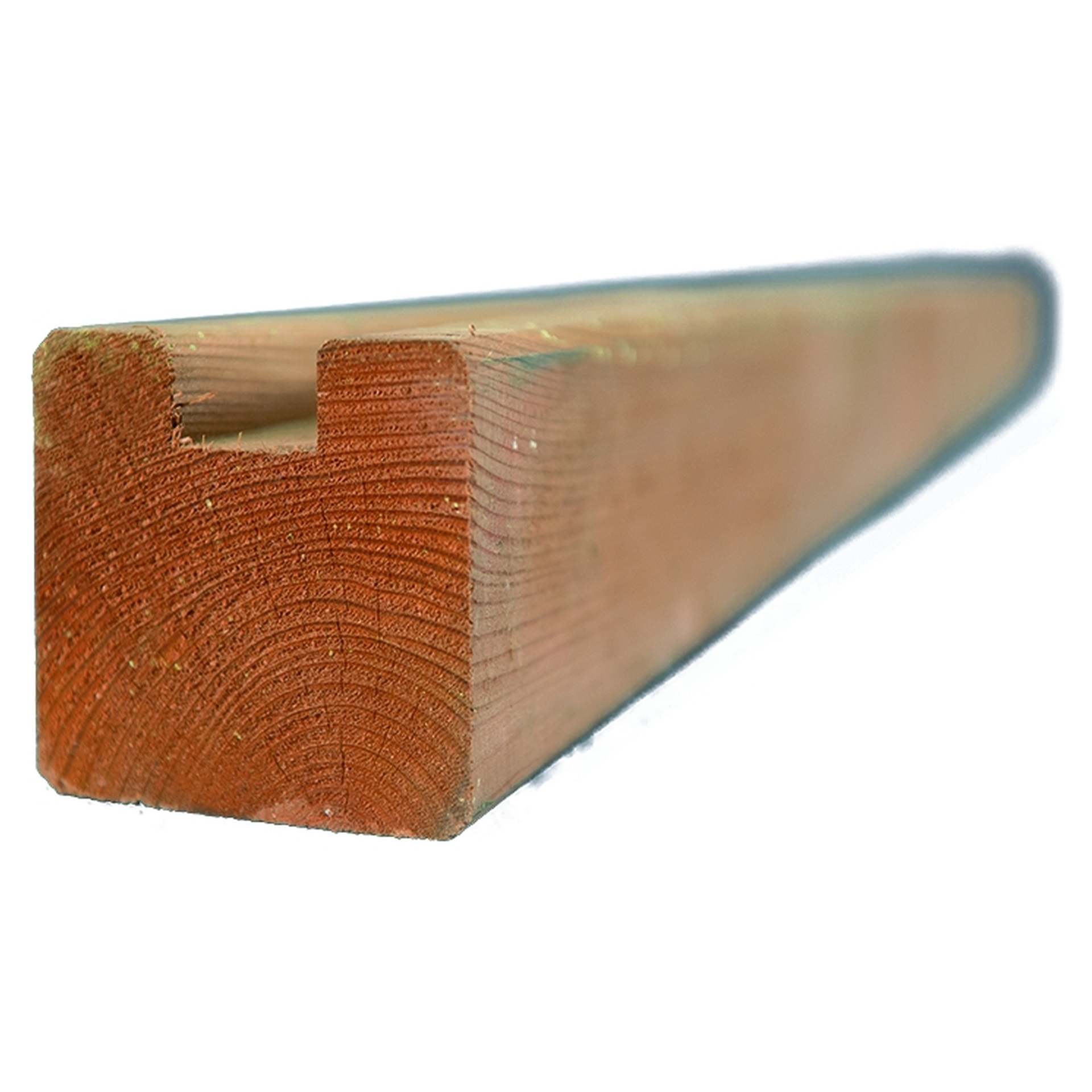 RIAD-System, Lärche-/ Douglasie C-Pfosten 1 RIAD-System, Lärche-/ Douglasie C-Pfosten