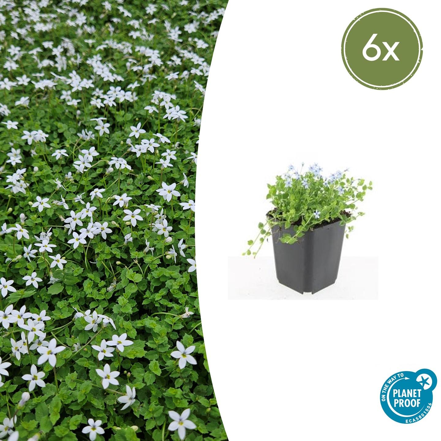 thumbnail 6000 ea0eb1e79568e8dd