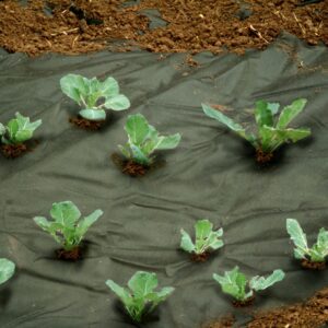 Unkrautvlies schwarz 1,2x10m