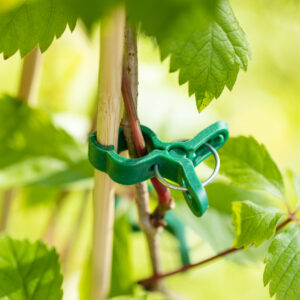 Pflanzenclips mini