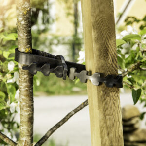 Gummi-Baumanbinder Set 2-tlg.