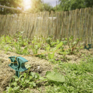 Garten- u. Pflanzenrichtschnur 15m