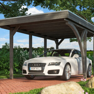 Friesland Carport Set 5, 314x555cm
