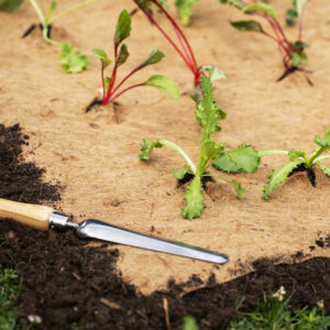 Jute-Vlies Mulchmatte