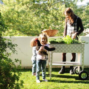 Kräuterfabrik Barcelona Dale