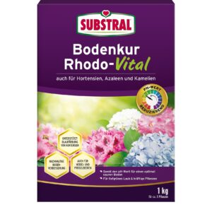 Bodenkur Rhodo-Vital