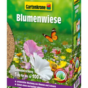 Blumenwiese