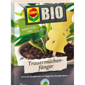 Trauermückenfänger, 5 Stück