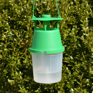 Buchsbaumzünsler-Trichterfalle, inkl. 6 Dispenser