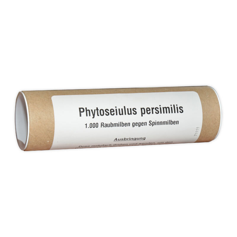 2568807 phytoseiulus persimilis 1000 raubmilbe gegen spinnmilben