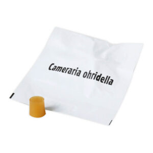 Lockstoff Kastanienminiermotte